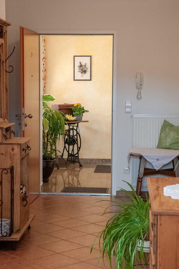Pension Hiesel-Villa Untersbergblick Anthering Dış mekan fotoğraf