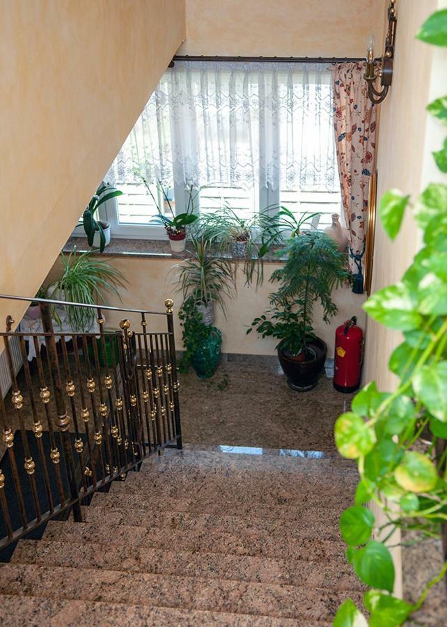 Pension Hiesel-Villa Untersbergblick Anthering Dış mekan fotoğraf